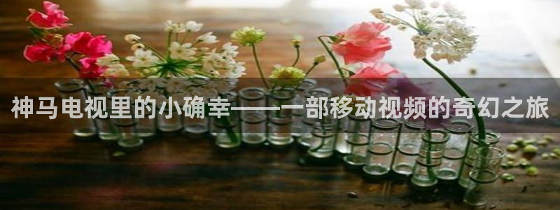 播播影院三级：神马电视里的小确幸——一部移动视频的奇幻之旅