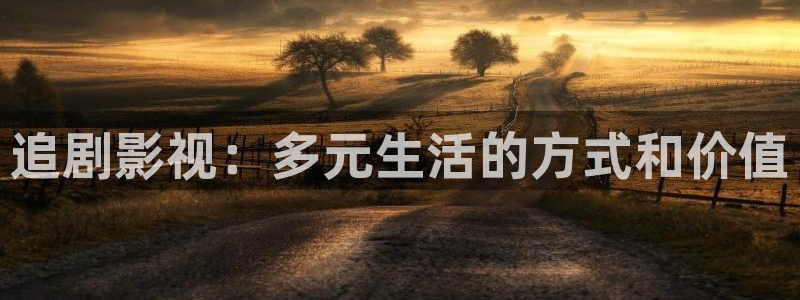 播播一天影院：追剧影视：多元生活的方式和价值